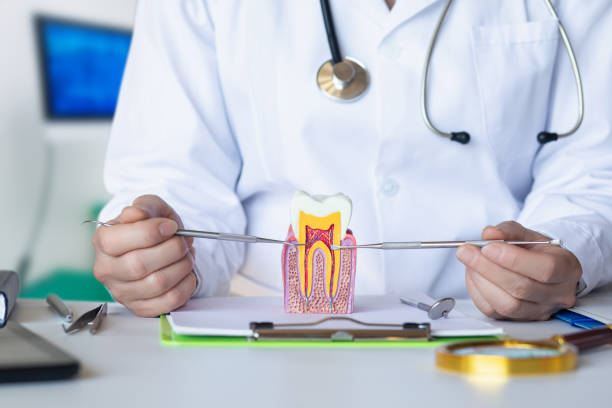 Best Broken Tooth Emergency  in Clawson, MI